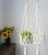 Zippy Flora Cotton Plant Hanger – Off-white, 36-38 Inch, 1 Piece